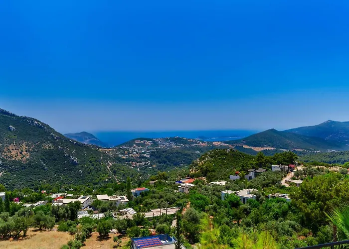 Safi Islamlar (Mediterranean)