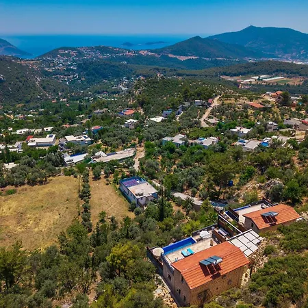 Safi Villa *